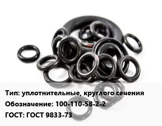 Кольцо РТИ уплотнительные, круглого сечения 100-110-58-2-2 ГОСТ: ГОСТ 9833-73